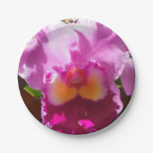 Assiettes En Carton Harlinde (Devant)