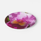 Assiettes En Carton Harlinde (Angle)