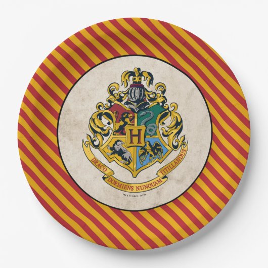 Assiettes En Carton Harry Potter | Anniversaire de Hogwarts (Devant)