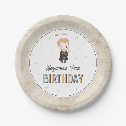 Assiettes En Carton Harry Potter Chibi Draco Malfoy Wizard Birthday (Devant)