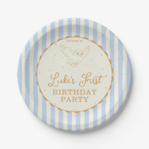 Assiettes En Carton Harry Potter Hedwig Bleu Anniversaire Magique