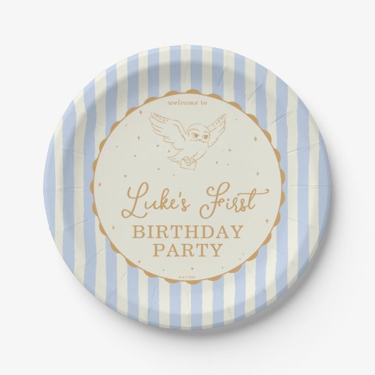 Assiettes En Carton Harry Potter Hedwig Blue Magical Birthday (Devant)