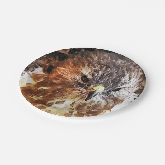 ASSIETTES EN CARTON HAWK (Angle)