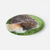 ASSIETTES EN CARTON HÉDGEHOG (Angle)