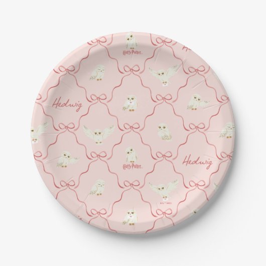 Assiettes En Carton Hedwig Pink Ribbon Pattern (Devant)