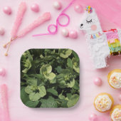 Assiettes En Carton Hellebore vert (Fête)