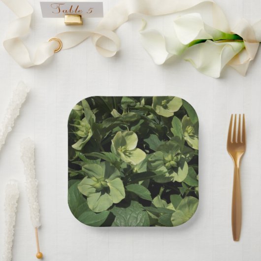 Assiettes En Carton Hellebore vert (Mariage)
