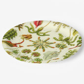 Assiettes En Carton Hépatiques d'Ernst Haeckel (Angle)