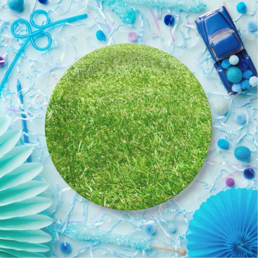 Assiettes En Carton Herbe (Fête)