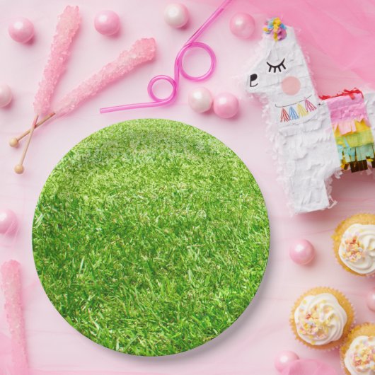 Assiettes En Carton Herbe (Fête)