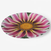 Assiettes En Carton Hereford (Angle)