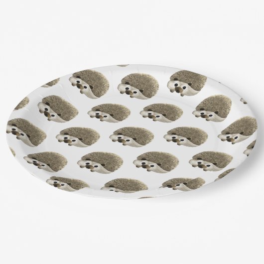 Assiettes En Carton Hérisson (Angle)