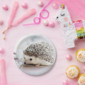 Assiettes En Carton Hérisson bébé (Fête)
