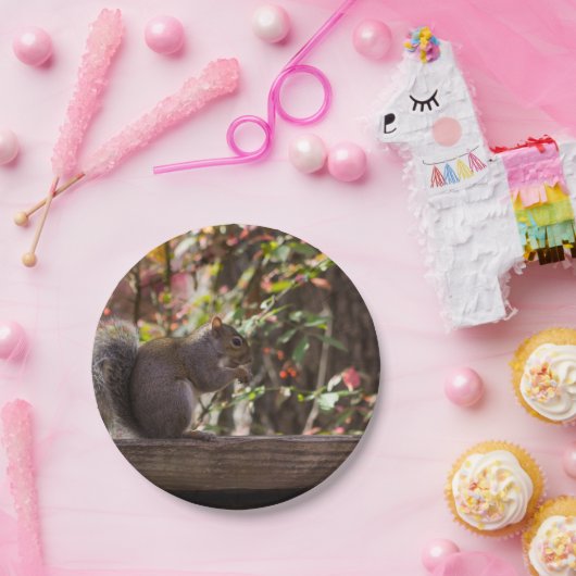 Assiettes En Carton Heure des écureuils (Fête)