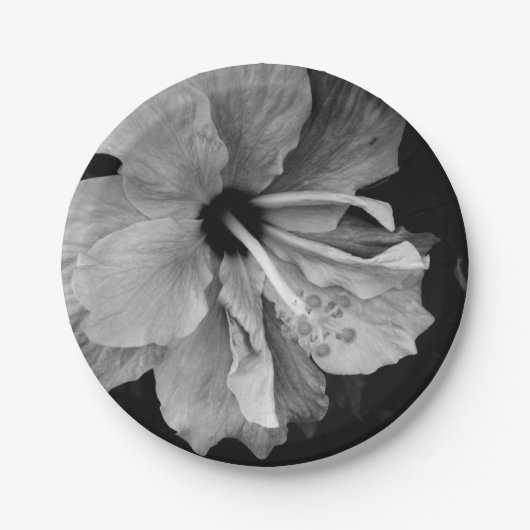 Assiettes En Carton Hibiscus (Devant)