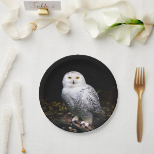 Assiettes En Carton Hibou des neiges majestueux d'hiver
