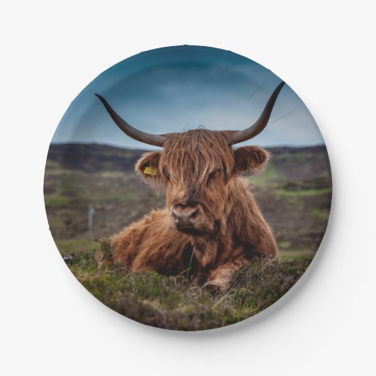 Assiettes En Carton Highland Cow (Devant)