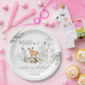Assiettes En Carton Hiver Onederland Bois Animaux Anniversaire (Fête)