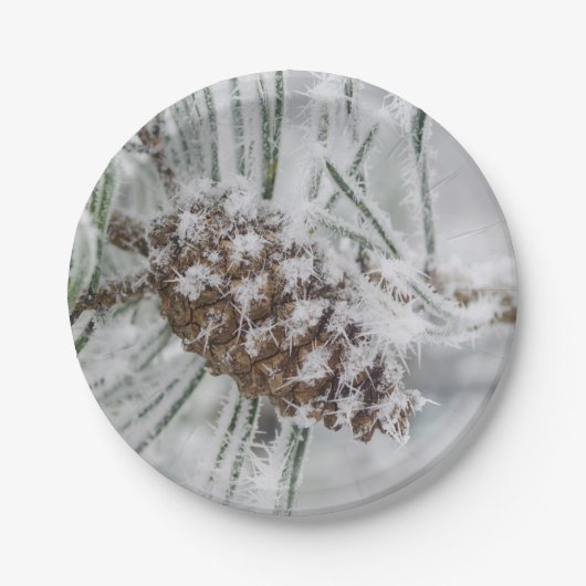 Assiettes En Carton Hiver, Pinecone, Plaques en papier pour flocons de (Devant)