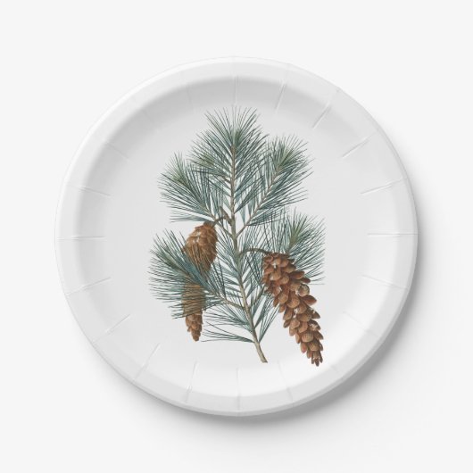 Assiettes En Carton Hiver Russe Bois Pine Cône et Branche (Devant)