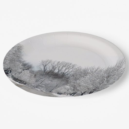 ASSIETTES EN CARTON HIVER WONDERLAND (Angle)