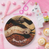 Assiettes En Carton Hognose Pet Snack (Fête)