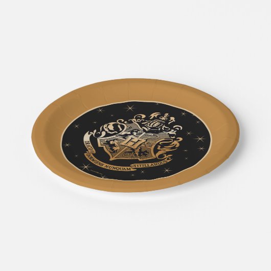 Assiettes En Carton HOGWARTS™ Crest doré (Angle)
