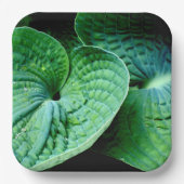 Assiettes En Carton Hosta Heart (Recto)