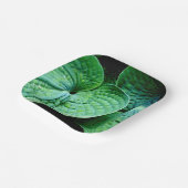 Assiettes En Carton Hosta Heart (Angulaire)