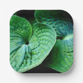 Assiettes En Carton Hosta Heart (Recto)
