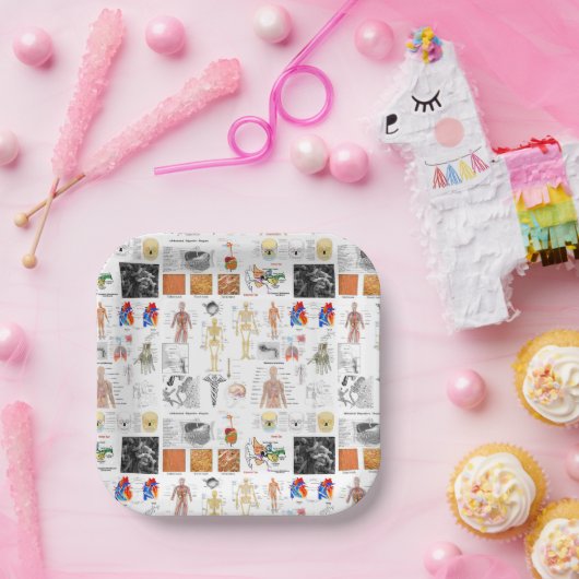 Assiettes En Carton Human Anatomy Medical Chart (Fête)