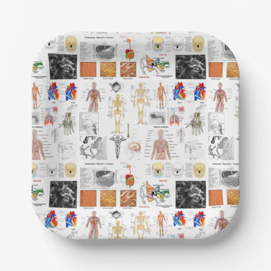 Assiettes En Carton Human Anatomy Medical Chart (Recto)