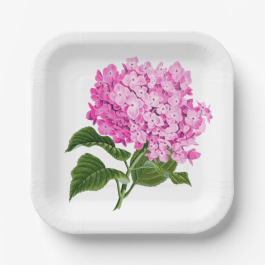 Assiettes En Carton Hydrangea Blossom rose antique (Recto)