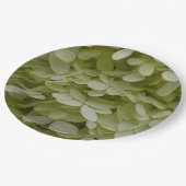 Assiettes En Carton Hydrangea Floral Celadon Vert (Angle)
