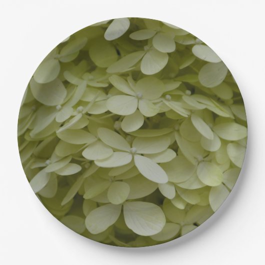 Assiettes En Carton Hydrangea Floral Celadon Vert (Devant)