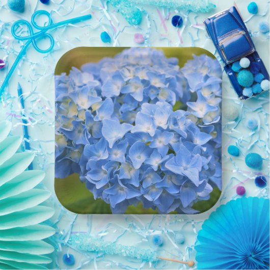 Assiettes En Carton Hydrangea Plates (Fête)