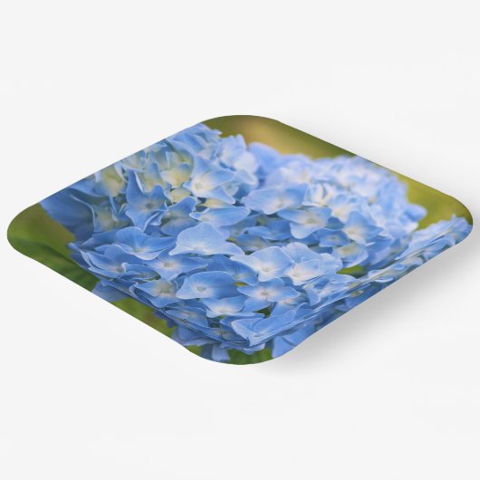 Assiettes En Carton Hydrangea Plates (Angulaire)