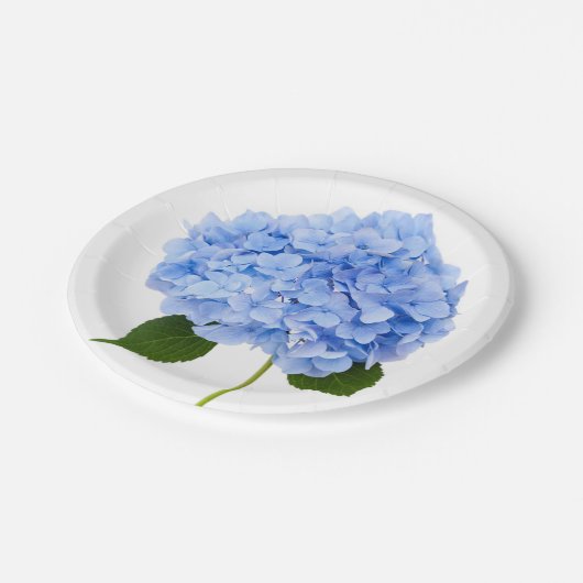 Assiettes En Carton Hydrangée (Angle)