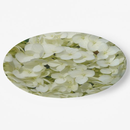 Assiettes En Carton Hydrangée blanche molle (Angle)