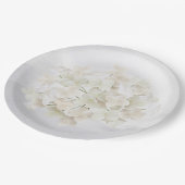 Assiettes En Carton Hydrangée Blanche Sur Abstrait Blanc (Angle)