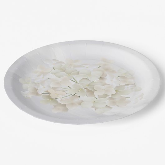 Assiettes En Carton Hydrangée Blanche Sur Abstrait Blanc (Angle)