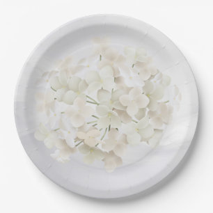 Assiettes En Carton Hydrangée Blanche Sur Abstrait Blanc
