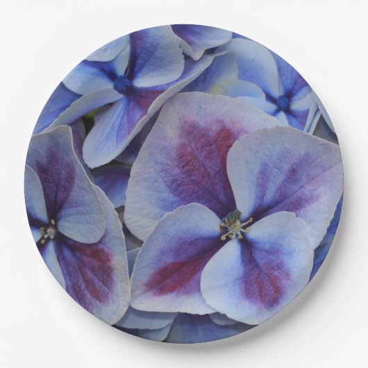 Assiettes En Carton Hydrangée violette (Devant)