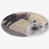 Assiettes En Carton Hyène avec les jeunes un (Angle)