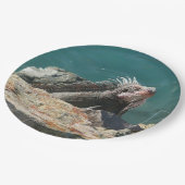 Assiettes En Carton Iguana à St Thomas (Angle)