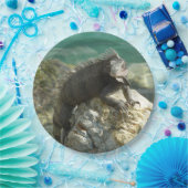 Assiettes En Carton Iguana sur les rochers à St. Thomas (Fête)