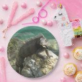 Assiettes En Carton Iguana sur les rochers à St. Thomas (Fête)