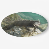 Assiettes En Carton Iguana sur les rochers à St. Thomas (Angle)