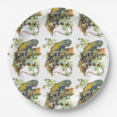 Assiettes En Carton iguane vert (Devant)