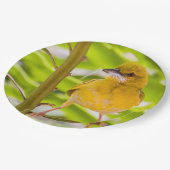 Assiettes En Carton Il est temps de construire le nid (Angle)